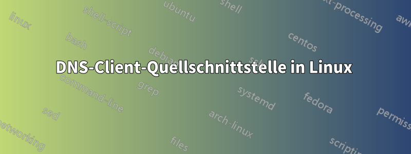 DNS-Client-Quellschnittstelle in Linux