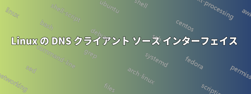 Linux の DNS クライアント ソース インターフェイス