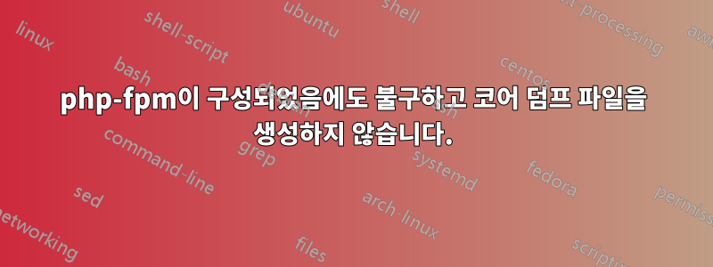 php-fpm이 구성되었음에도 불구하고 코어 덤프 파일을 생성하지 않습니다.
