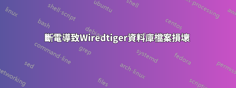 斷電導致Wiredtiger資料庫檔案損壞