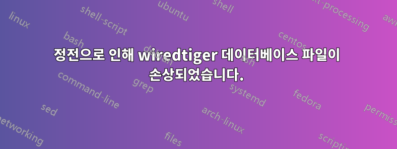 정전으로 인해 wiredtiger 데이터베이스 파일이 손상되었습니다.