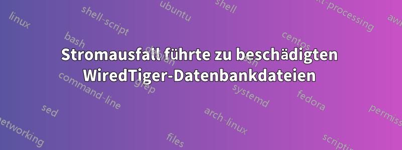 Stromausfall führte zu beschädigten WiredTiger-Datenbankdateien