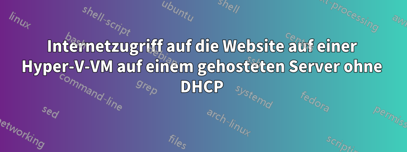 Internetzugriff auf die Website auf einer Hyper-V-VM auf einem gehosteten Server ohne DHCP