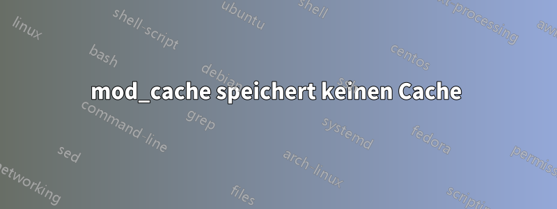 mod_cache speichert keinen Cache