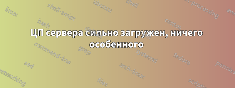 ЦП сервера сильно загружен, ничего особенного