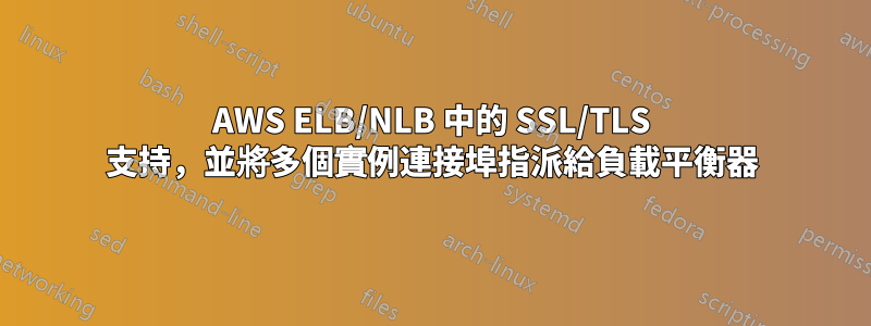AWS ELB/NLB 中的 SSL/TLS 支持，並將多個實例連接埠指派給負載平衡器