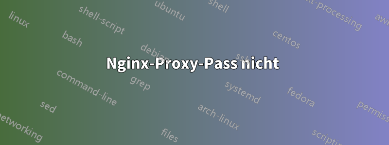 Nginx-Proxy-Pass nicht