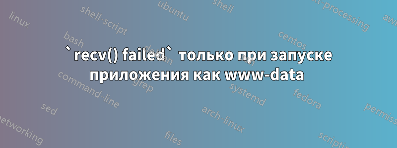 520 `recv() failed` только при запуске приложения как www-data