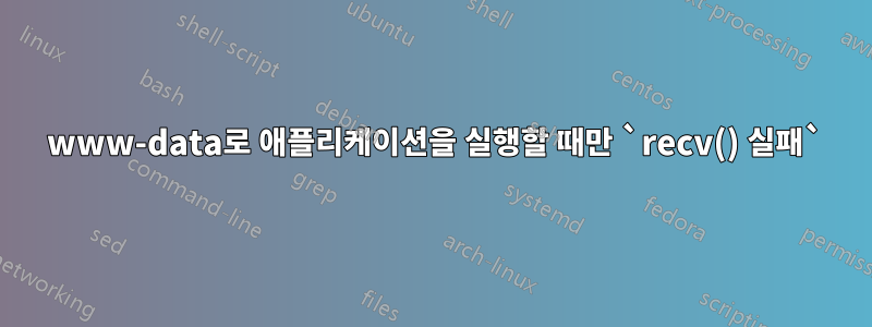 520 www-data로 애플리케이션을 실행할 때만 `recv() 실패`