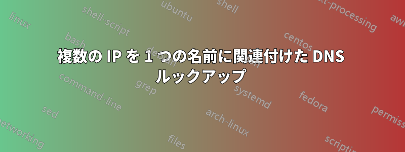 複数の IP を 1 つの名前に関連付けた DNS ルックアップ