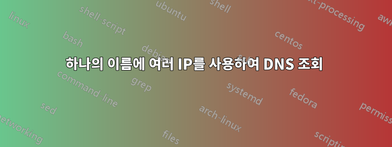 하나의 이름에 여러 IP를 사용하여 DNS 조회