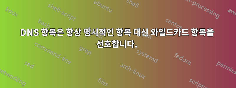 DNS 항목은 항상 명시적인 항목 대신 와일드카드 항목을 선호합니다.