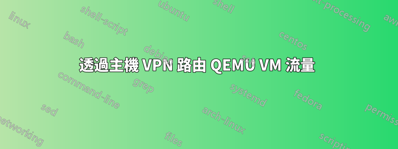 透過主機 VPN 路由 QEMU VM 流量