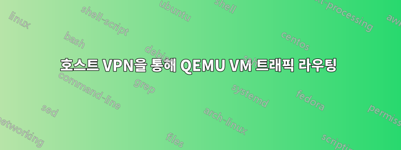 호스트 VPN을 통해 QEMU VM 트래픽 라우팅