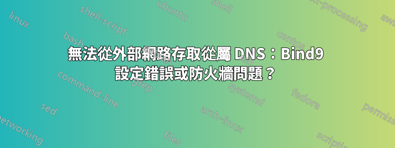 無法從外部網路存取從屬 DNS：Bind9 設定錯誤或防火牆問題？