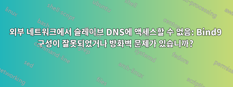 외부 네트워크에서 슬레이브 DNS에 액세스할 수 없음: Bind9 구성이 잘못되었거나 방화벽 문제가 있습니까?