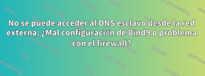 No se puede acceder al DNS esclavo desde la red externa: ¿Mal configuración de Bind9 o problema con el firewall?