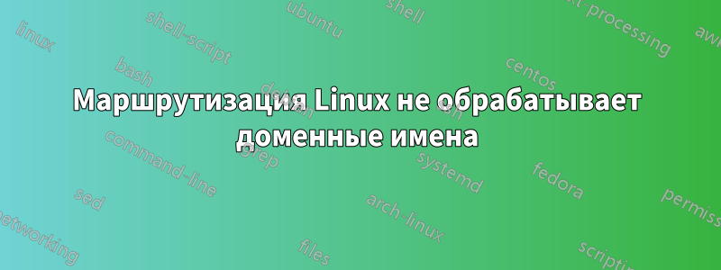 Маршрутизация Linux не обрабатывает доменные имена