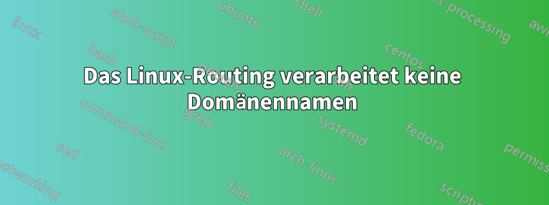 Das Linux-Routing verarbeitet keine Domänennamen