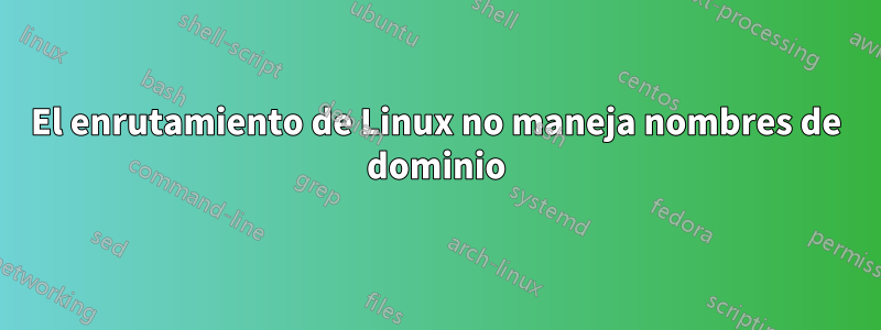 El enrutamiento de Linux no maneja nombres de dominio