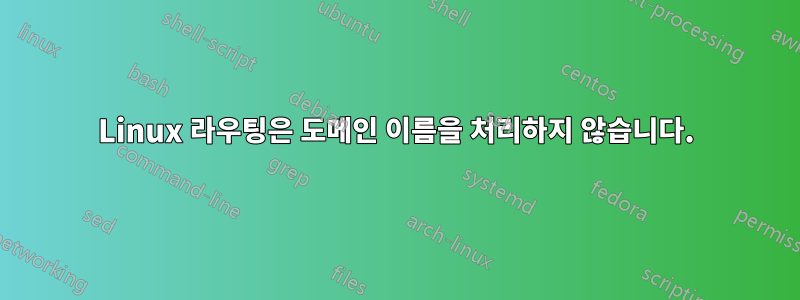 Linux 라우팅은 도메인 이름을 처리하지 않습니다.