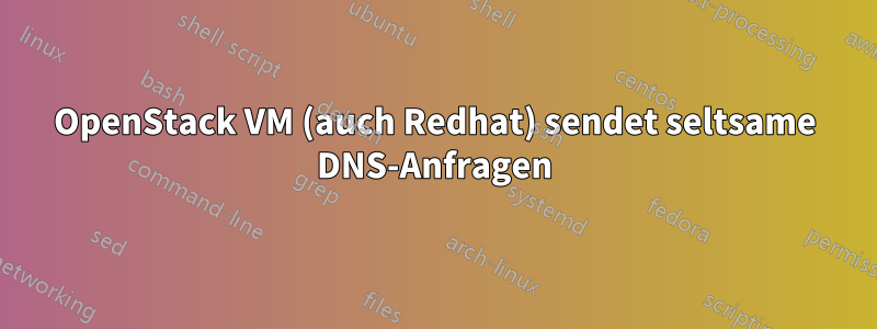 OpenStack VM (auch Redhat) sendet seltsame DNS-Anfragen