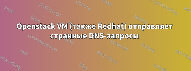 Openstack VM (также Redhat) отправляет странные DNS-запросы