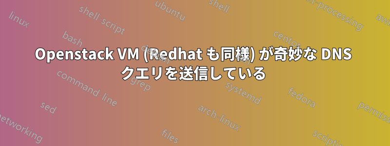 Openstack VM (Redhat も同様) が奇妙な DNS クエリを送信している