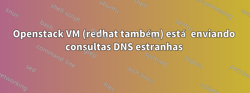 Openstack VM (redhat também) está enviando consultas DNS estranhas