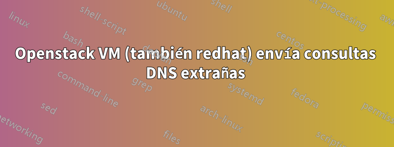 Openstack VM (también redhat) envía consultas DNS extrañas