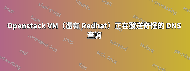 Openstack VM（還有 Redhat）正在發送奇怪的 DNS 查詢