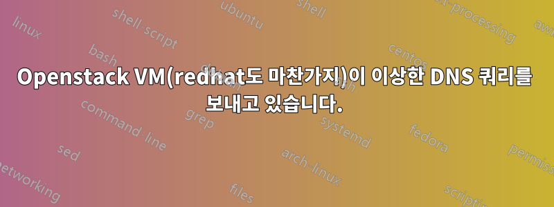 Openstack VM(redhat도 마찬가지)이 이상한 DNS 쿼리를 보내고 있습니다.