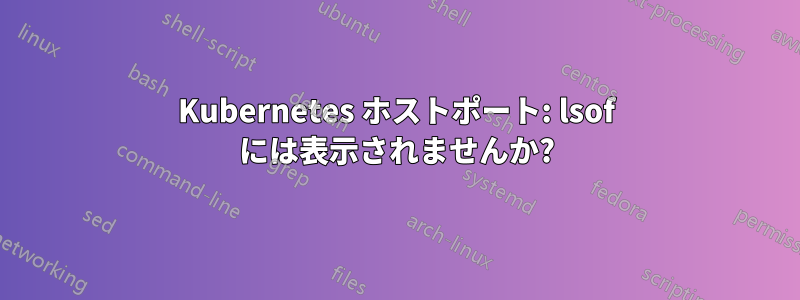 Kubernetes ホストポート: lsof には表示されませんか?