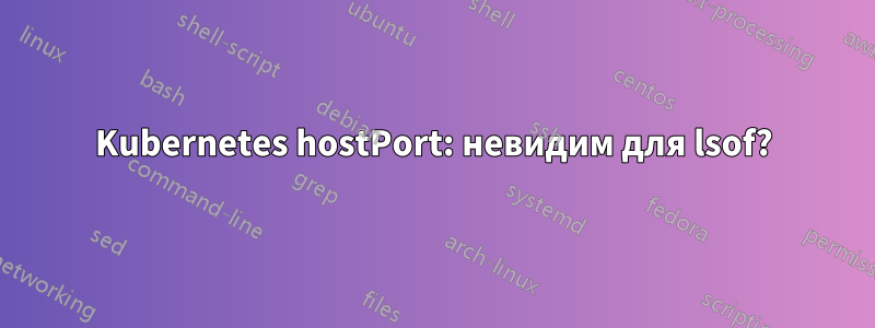 Kubernetes hostPort: невидим для lsof?