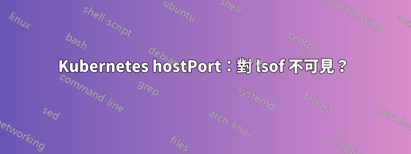 Kubernetes hostPort：對 lsof 不可見？