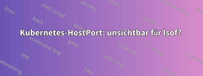 Kubernetes-HostPort: unsichtbar für lsof?