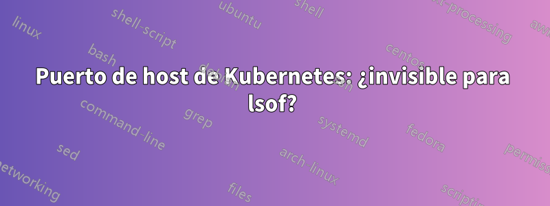 Puerto de host de Kubernetes: ¿invisible para lsof?