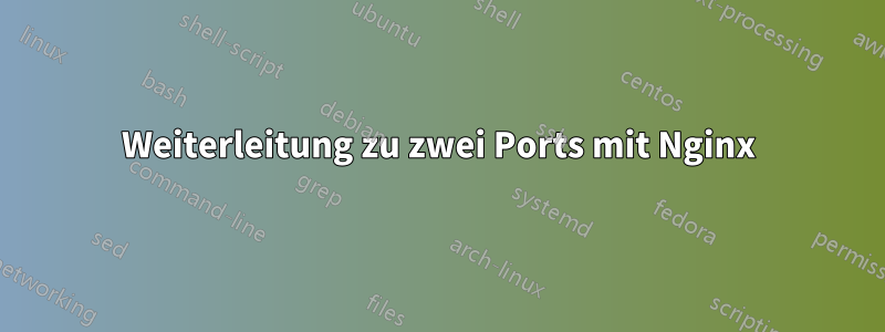 Weiterleitung zu zwei Ports mit Nginx