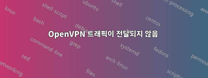 OpenVPN 트래픽이 전달되지 않음