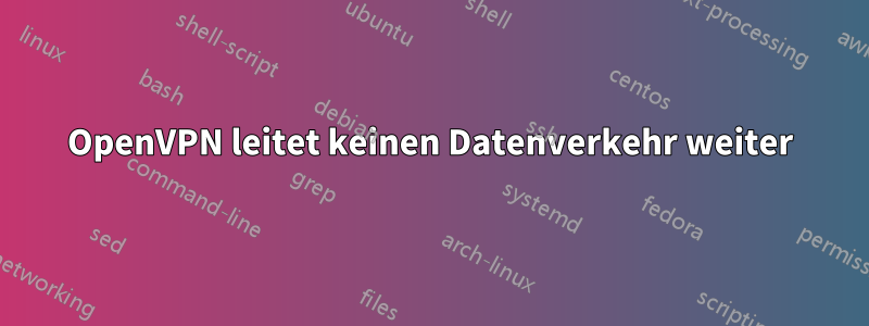 OpenVPN leitet keinen Datenverkehr weiter