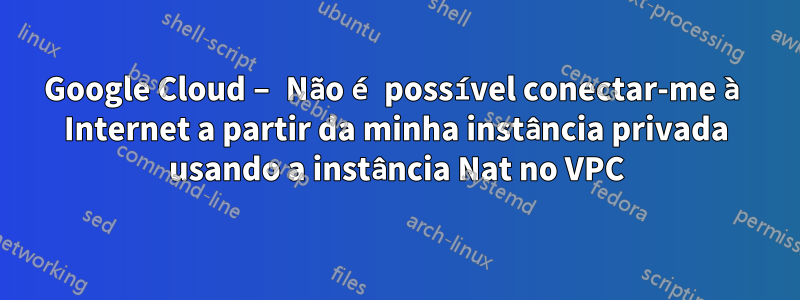 Google Cloud – Não é possível conectar-me à Internet a partir da minha instância privada usando a instância Nat no VPC