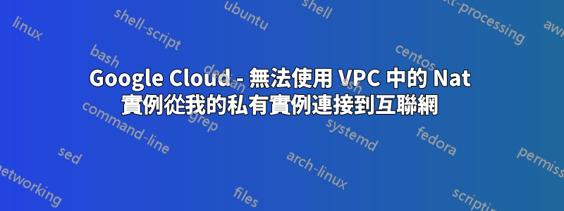 Google Cloud - 無法使用 VPC 中的 Nat 實例從我的私有實例連接到互聯網