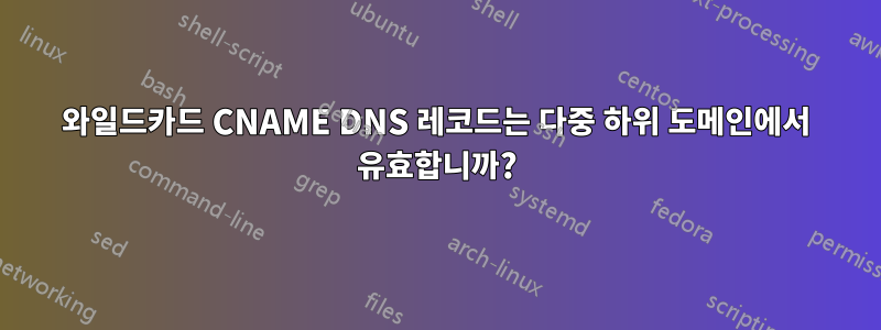 와일드카드 CNAME DNS 레코드는 다중 하위 도메인에서 유효합니까?