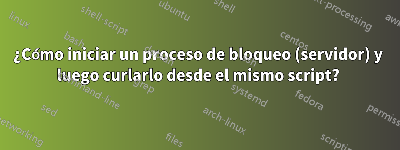 ¿Cómo iniciar un proceso de bloqueo (servidor) y luego curlarlo desde el mismo script?