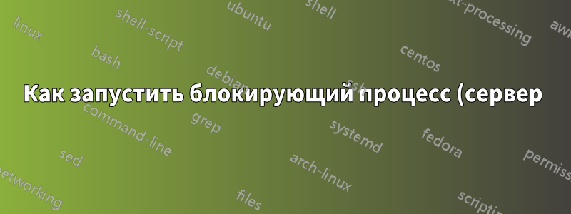 Как запустить блокирующий процесс (сервер), а затем выполнить его curl из того же скрипта?