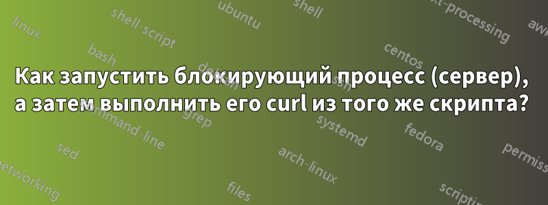 Как запустить блокирующий процесс (сервер), а затем выполнить его curl из того же скрипта?