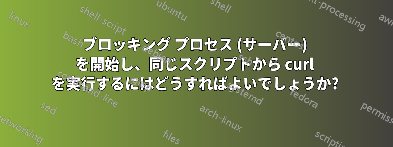 ブロッキング プロセス (サーバー) を開始し、同じスクリプトから curl を実行するにはどうすればよいでしょうか?