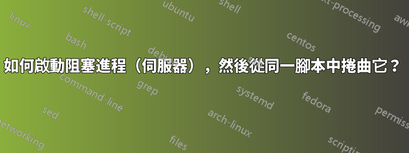 如何啟動阻塞進程（伺服器），然後從同一腳本中捲曲它？