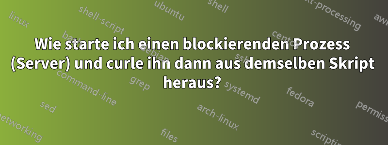 Wie starte ich einen blockierenden Prozess (Server) und curle ihn dann aus demselben Skript heraus?