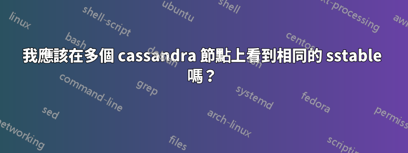 我應該在多個 cassandra 節點上看到相同的 sstable 嗎？